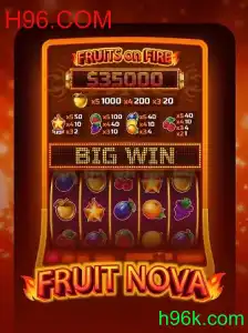 Tudo sobre FruitNova: Introdução e Regras